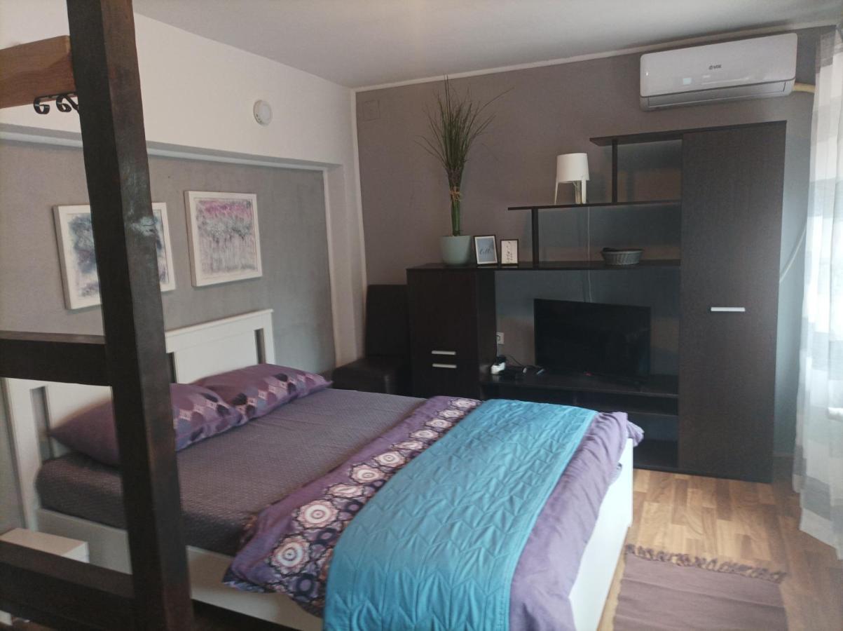 Apartmani Biljana Lazic Vrnjačka Banja エクステリア 写真
