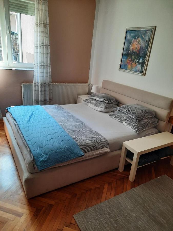 Apartmani Biljana Lazic Vrnjačka Banja エクステリア 写真