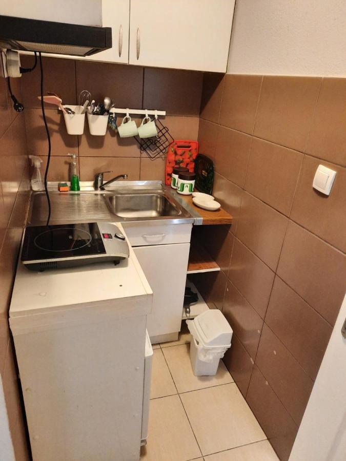 Apartmani Biljana Lazic Vrnjačka Banja エクステリア 写真