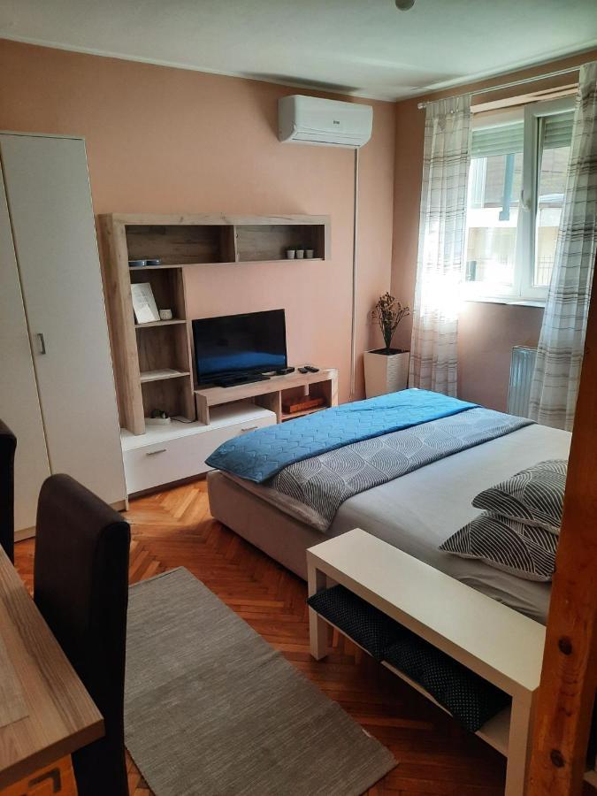 Apartmani Biljana Lazic Vrnjačka Banja エクステリア 写真