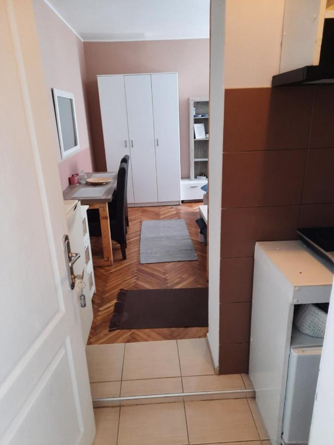 Apartmani Biljana Lazic Vrnjačka Banja エクステリア 写真