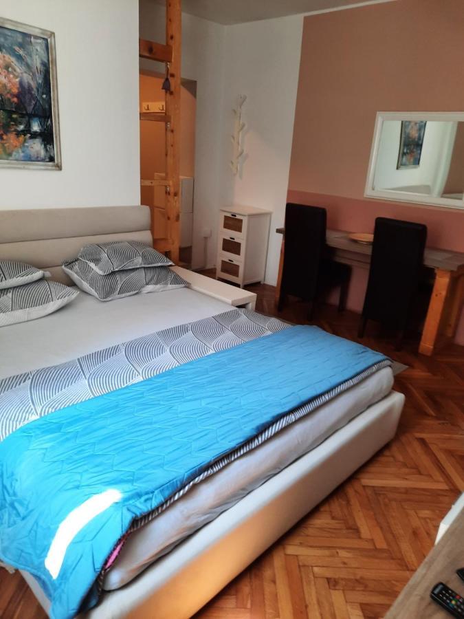 Apartmani Biljana Lazic Vrnjačka Banja エクステリア 写真