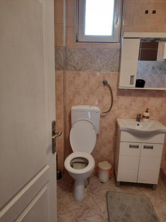 Apartmani Biljana Lazic Vrnjačka Banja エクステリア 写真