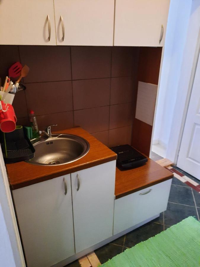 Apartmani Biljana Lazic Vrnjačka Banja エクステリア 写真