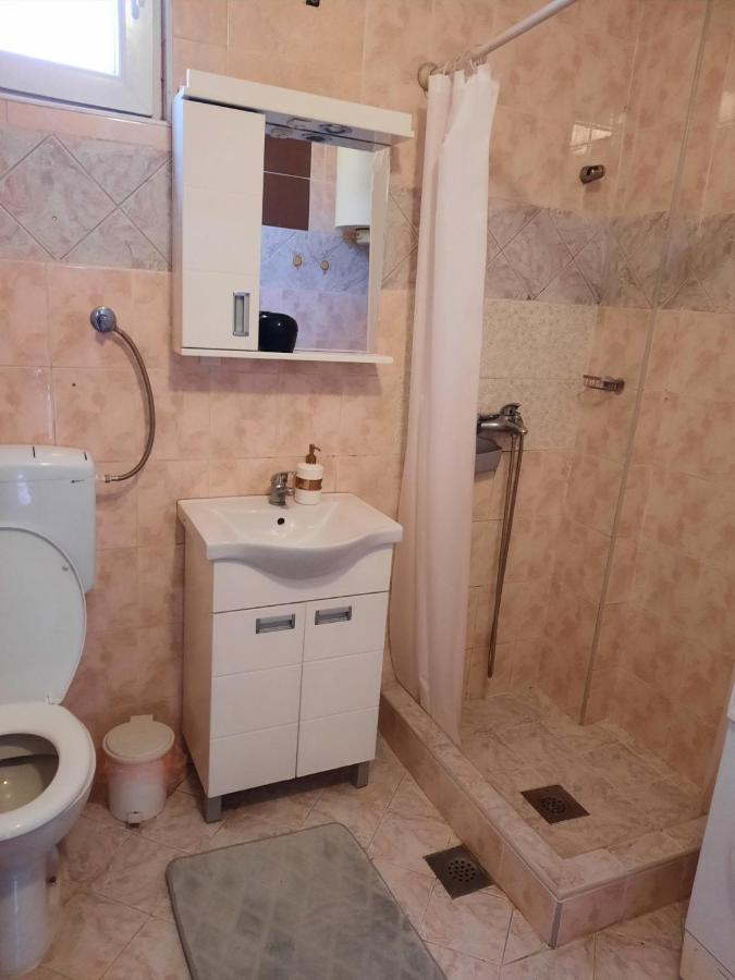 Apartmani Biljana Lazic Vrnjačka Banja エクステリア 写真
