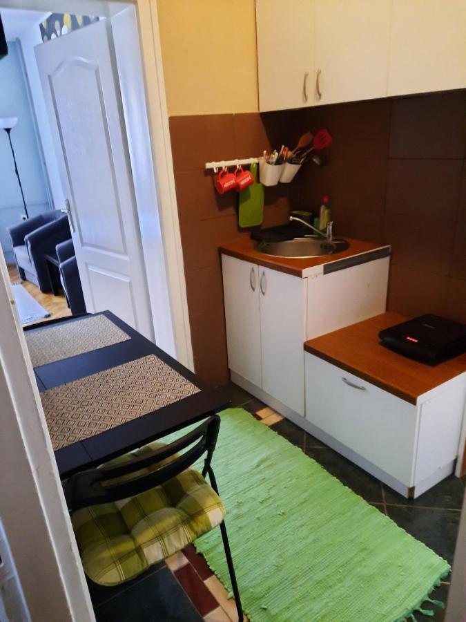 Apartmani Biljana Lazic Vrnjačka Banja エクステリア 写真
