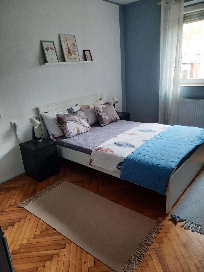 Apartmani Biljana Lazic Vrnjačka Banja エクステリア 写真