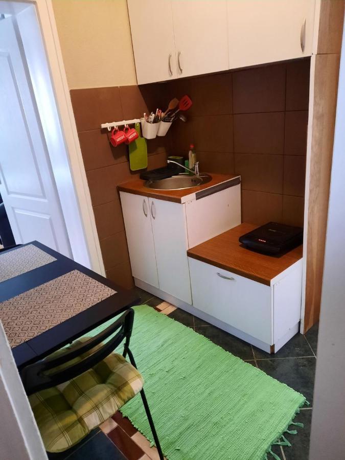Apartmani Biljana Lazic Vrnjačka Banja エクステリア 写真