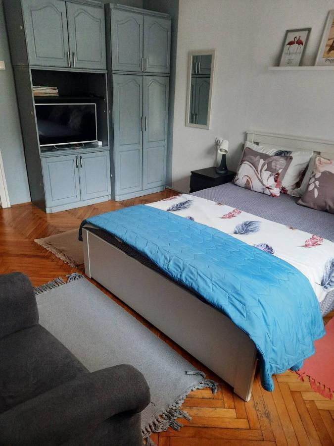 Apartmani Biljana Lazic Vrnjačka Banja エクステリア 写真