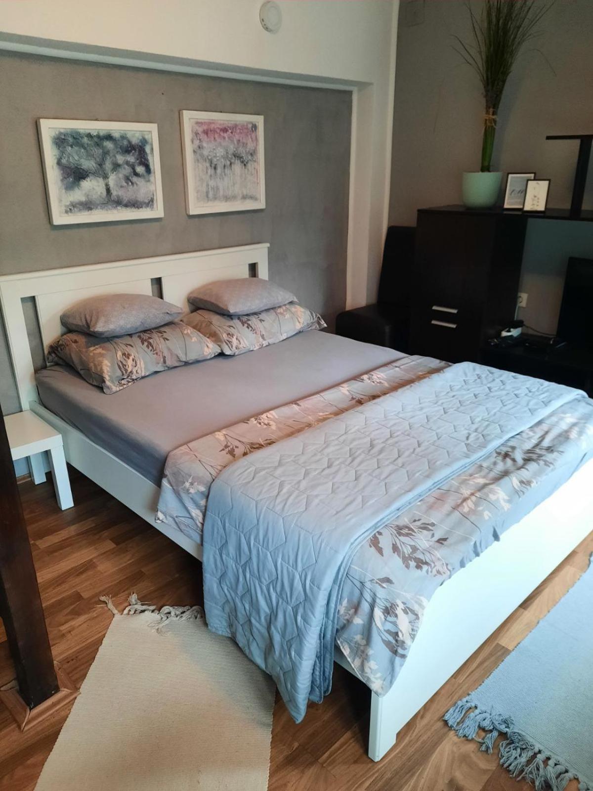 Apartmani Biljana Lazic Vrnjačka Banja エクステリア 写真