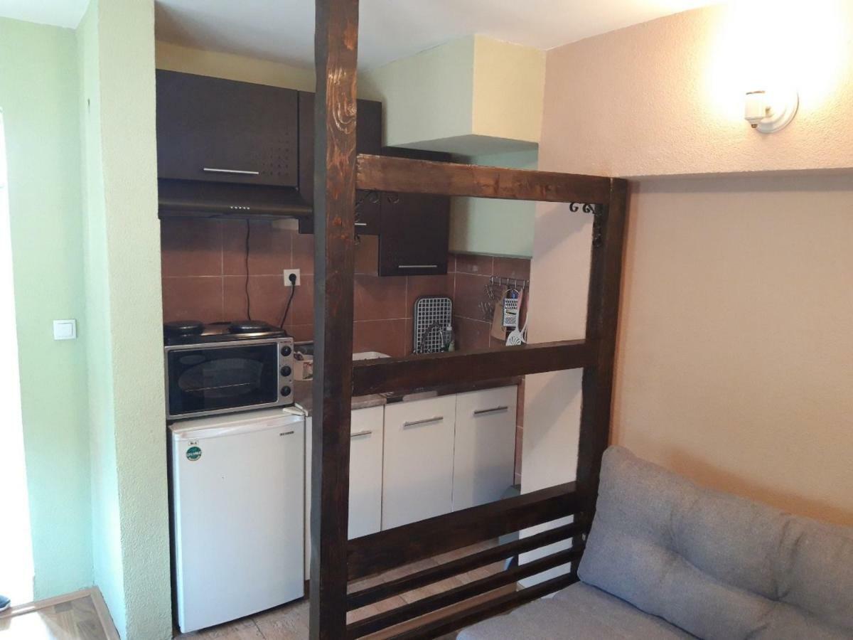 Apartmani Biljana Lazic Vrnjačka Banja エクステリア 写真