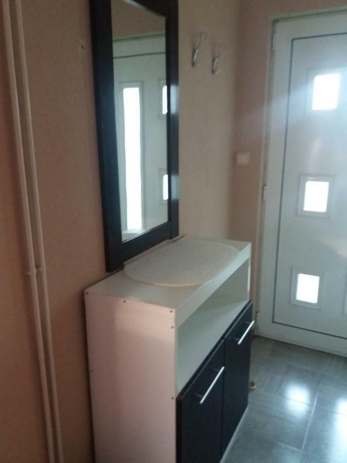 Apartmani Biljana Lazic Vrnjačka Banja エクステリア 写真